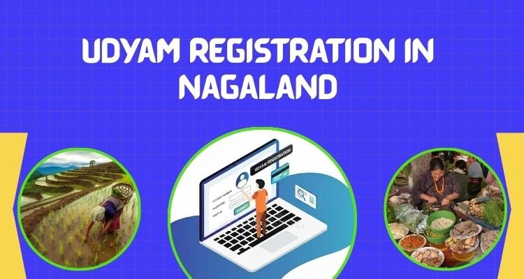 Udyam Registration in Nagaland